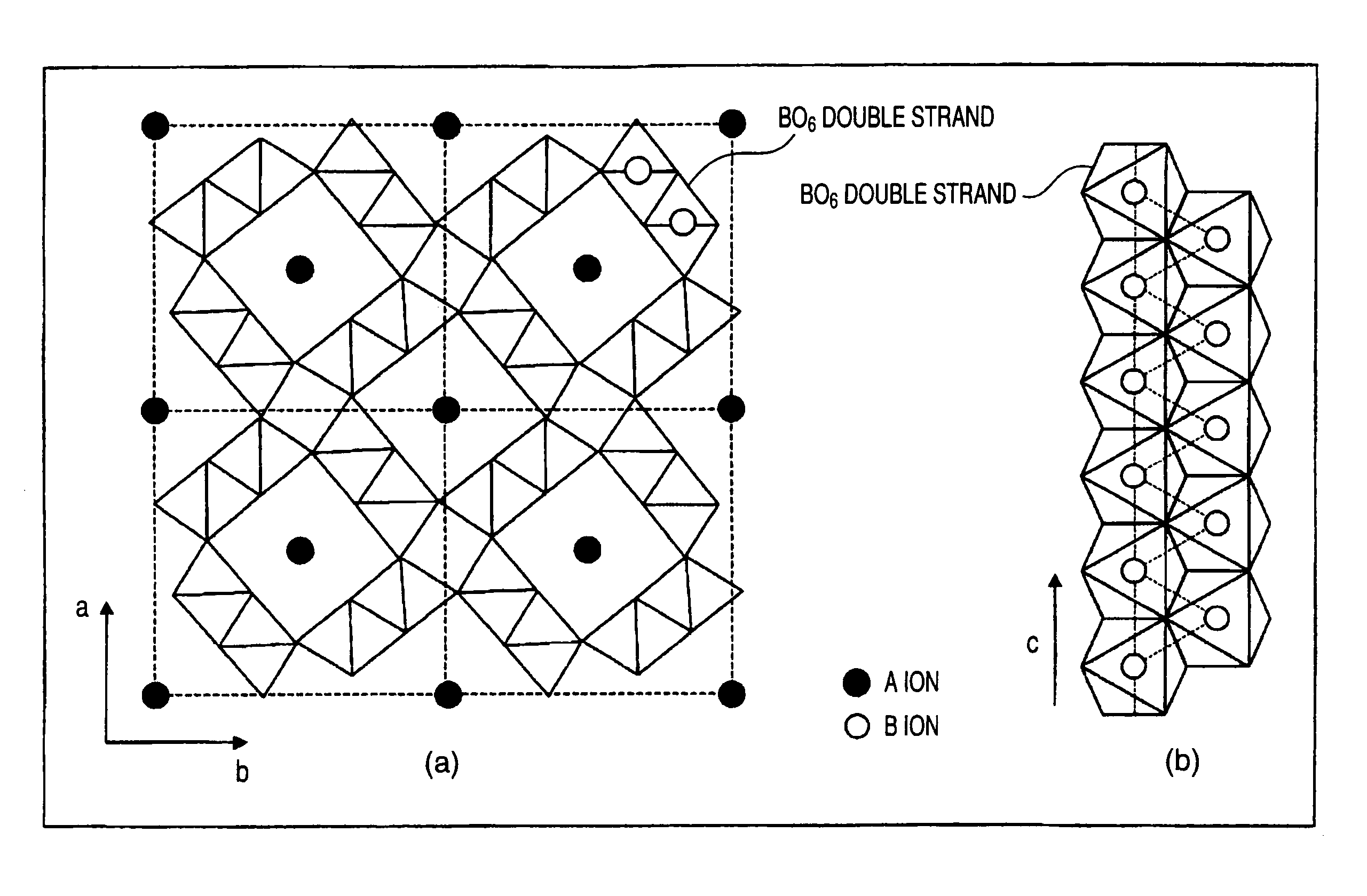 Information recording and reproducing apparatus