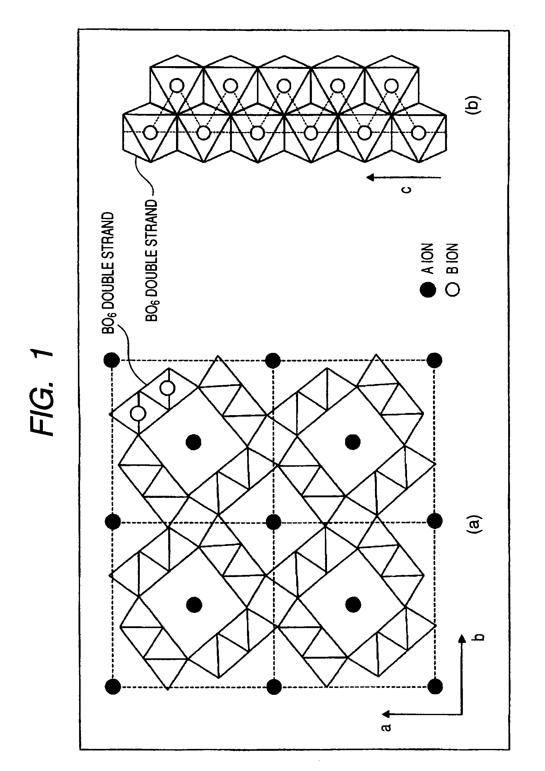 Information recording and reproducing apparatus