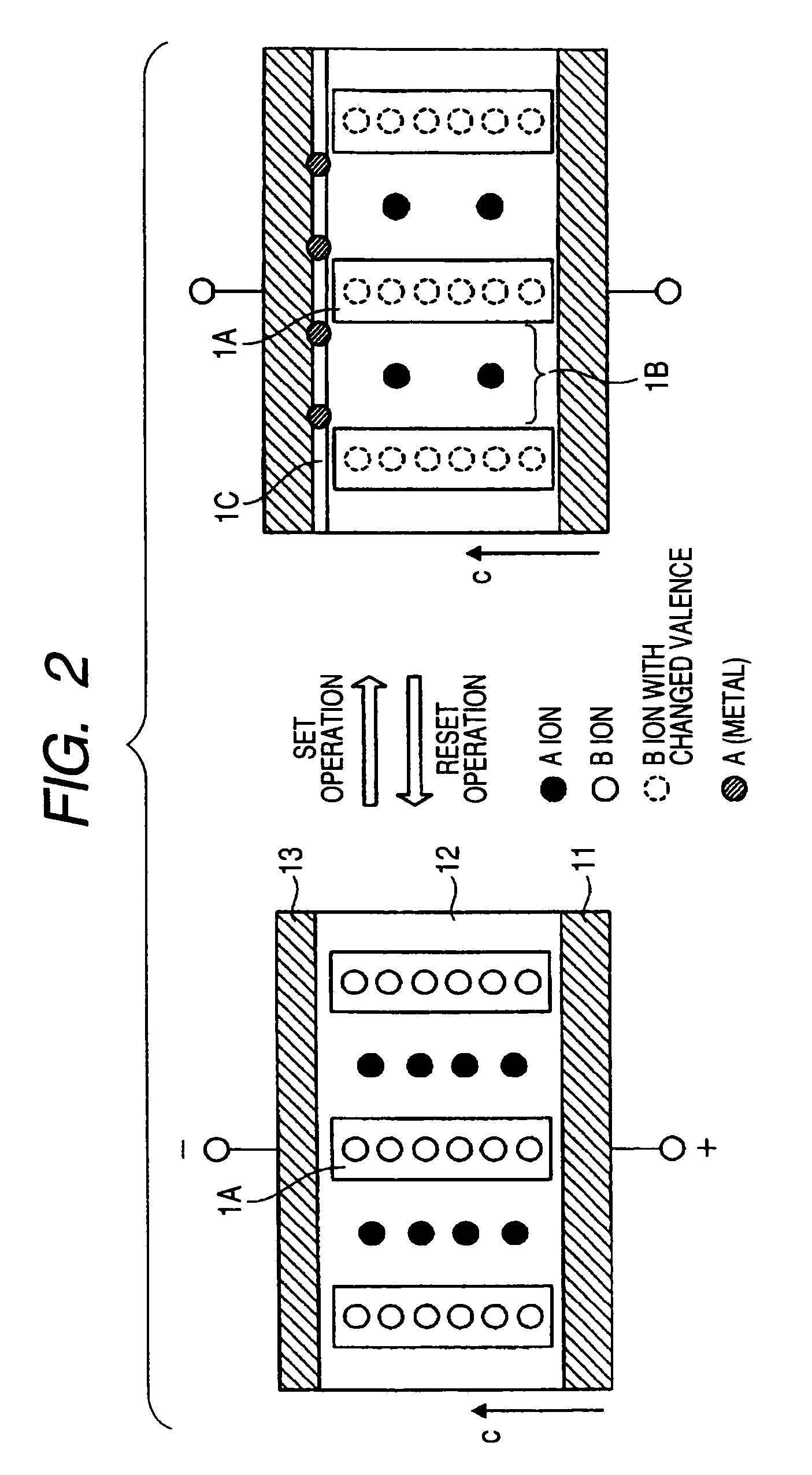 Information recording and reproducing apparatus