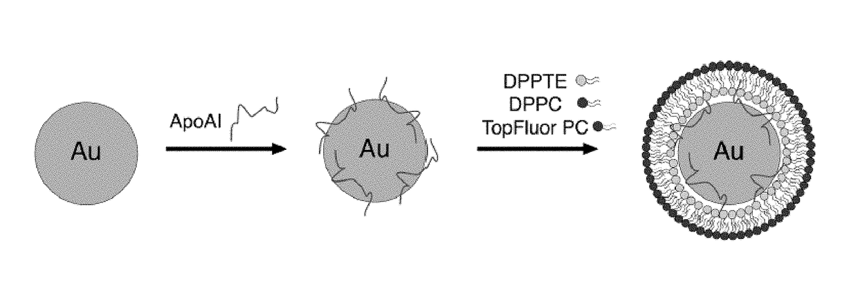 Nanoparticles as catalytic substrates for real-time biosensing of human performance and diagnostic and therapeutic methods