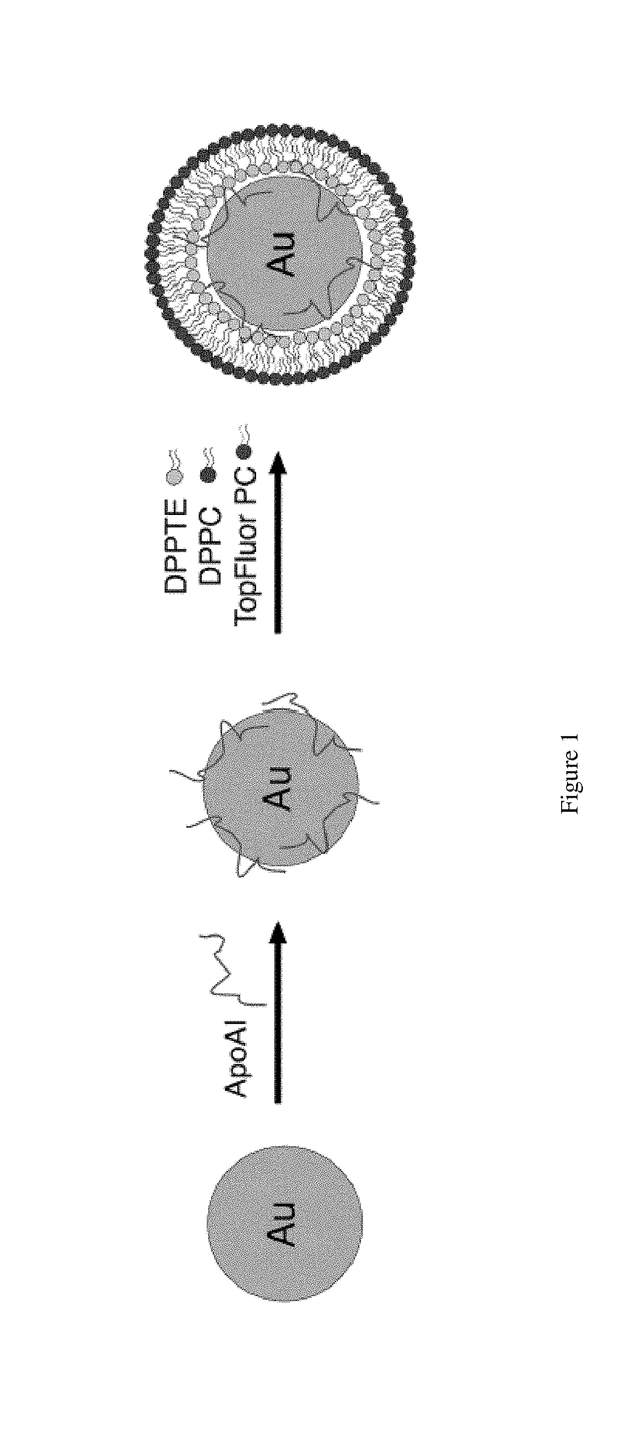 Nanoparticles as catalytic substrates for real-time biosensing of human performance and diagnostic and therapeutic methods