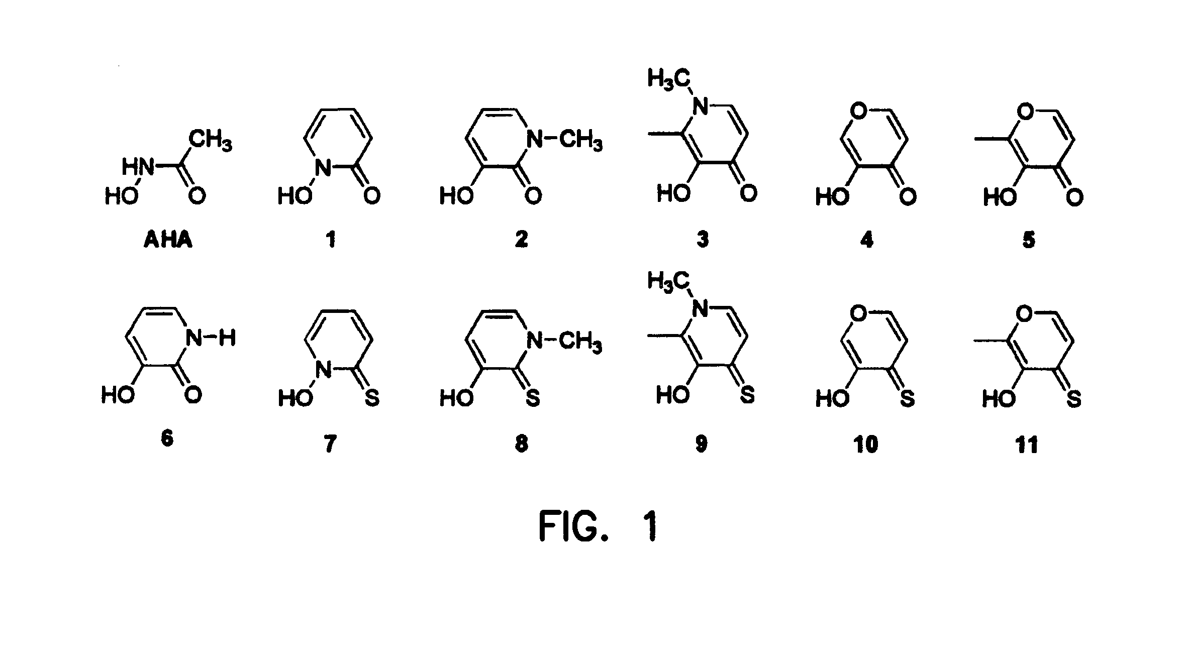 Metalloprotein Inhibitors