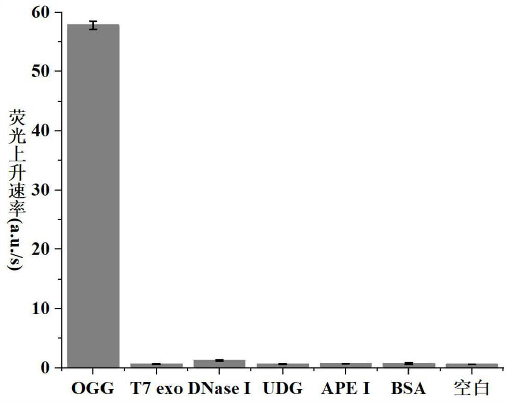 A method for measuring 8-oxoguanine DNA glycosylase based on background signal suppression probe, kit and application thereof