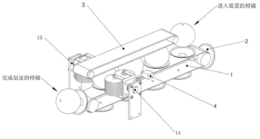 Skin scratching device for citrus peeling machine