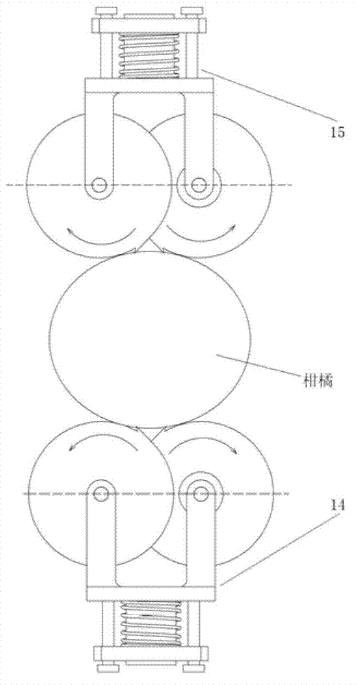 Skin scratching device for citrus peeling machine