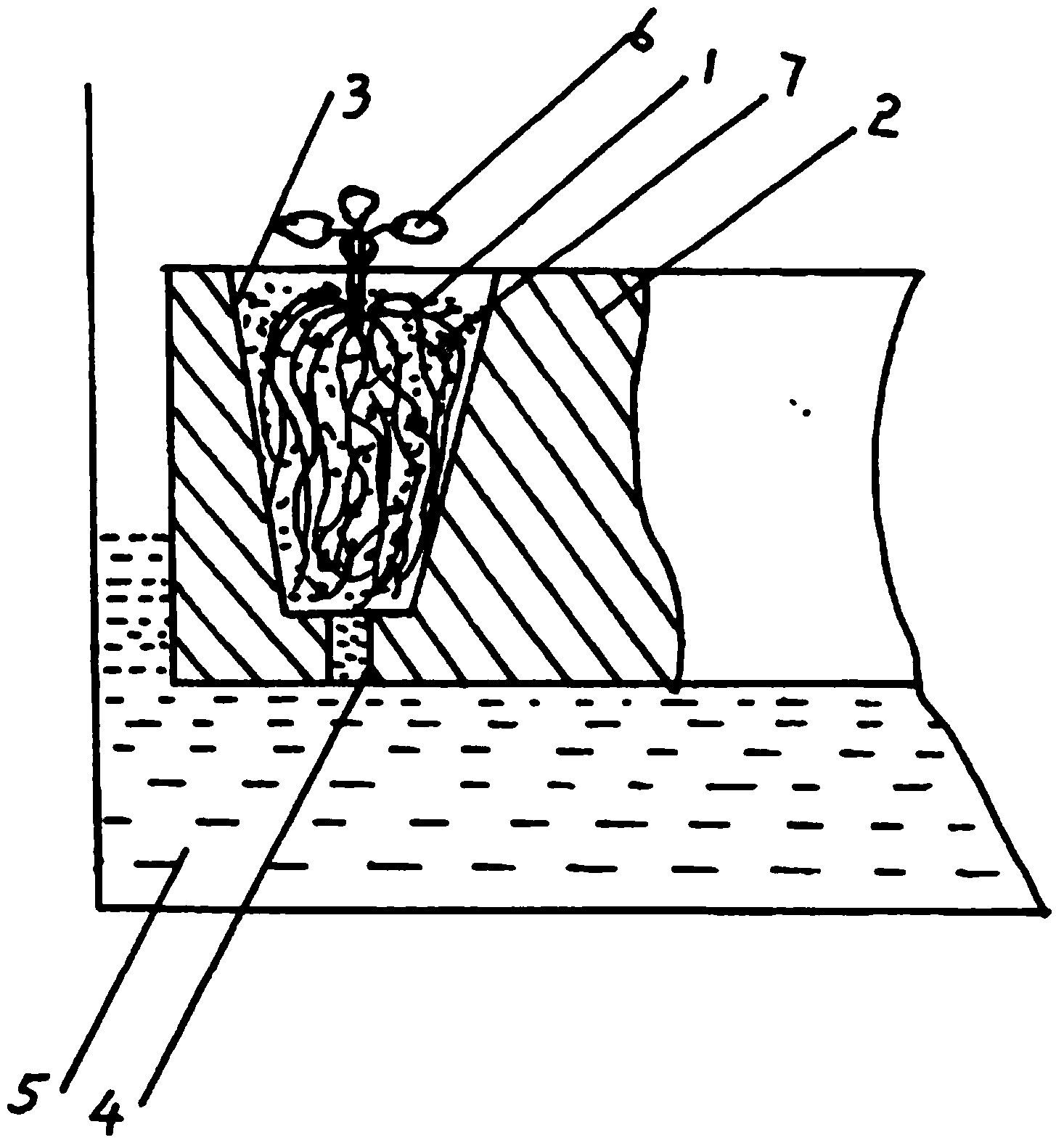 Flue-cured tobacco float seedling breeding method using novel substrate