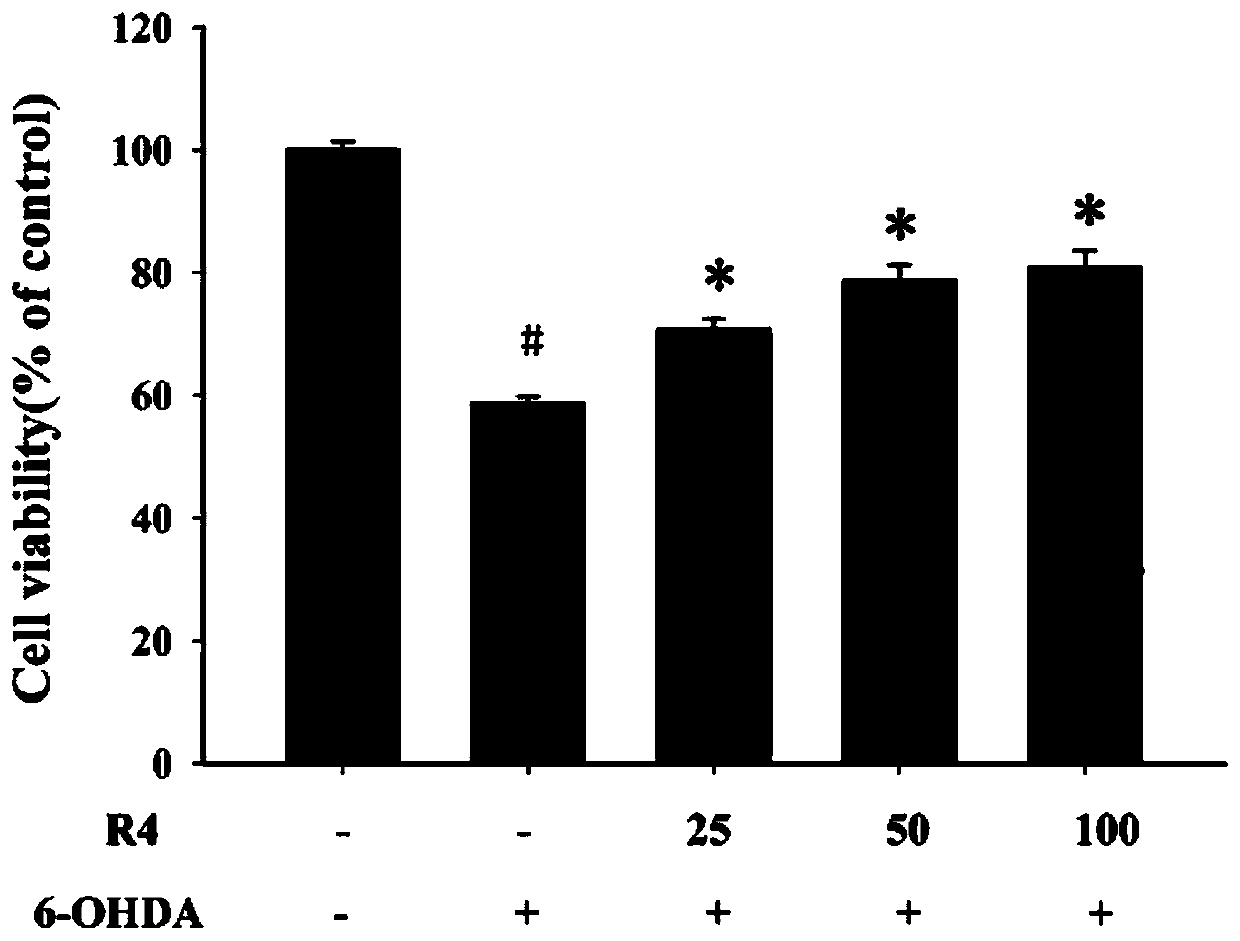 Application of Vietnamese ginsenoside R4 in preparation of medicament for treating neurodegenerative diseases