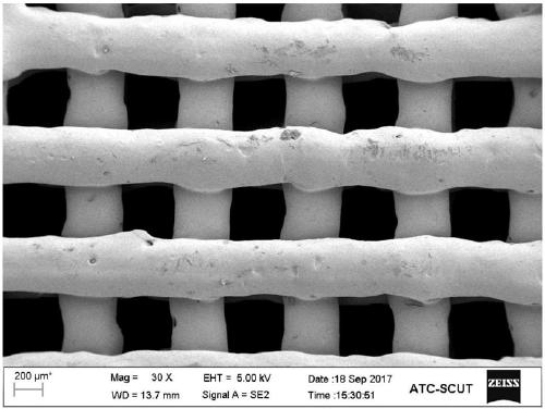 3D printed silk protein hydrogel and preparation method thereof