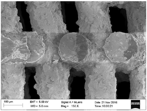 3D printed silk protein hydrogel and preparation method thereof