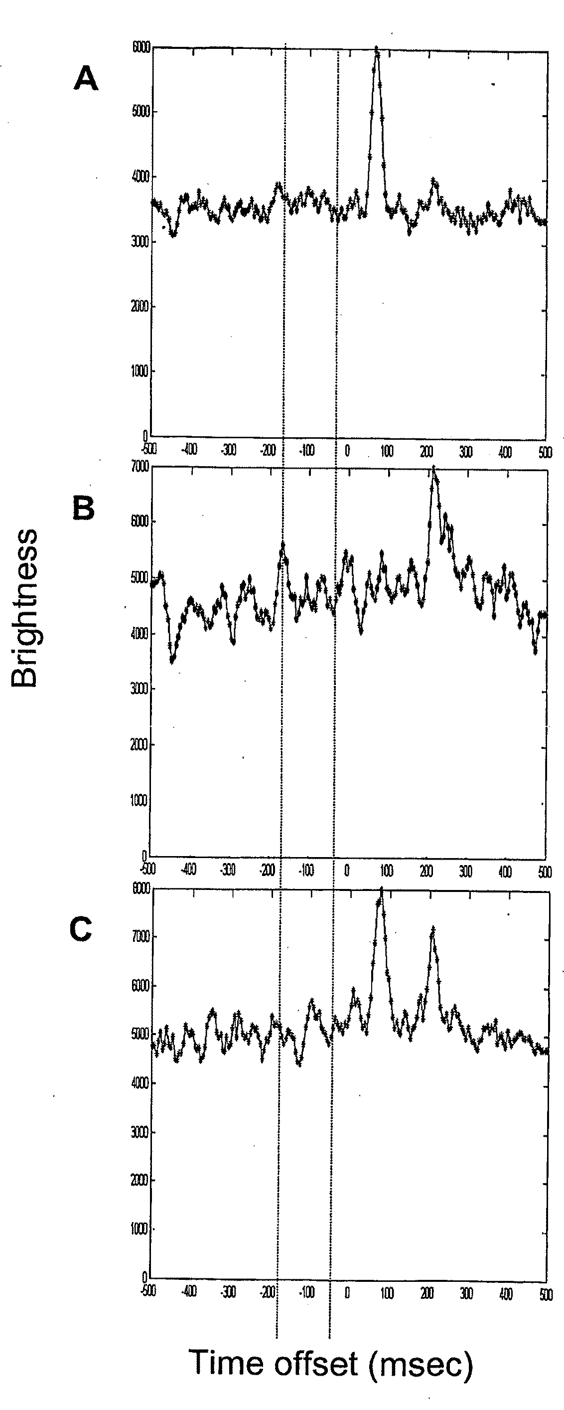 Co-detection of single polypeptide and polynucleotide molecules