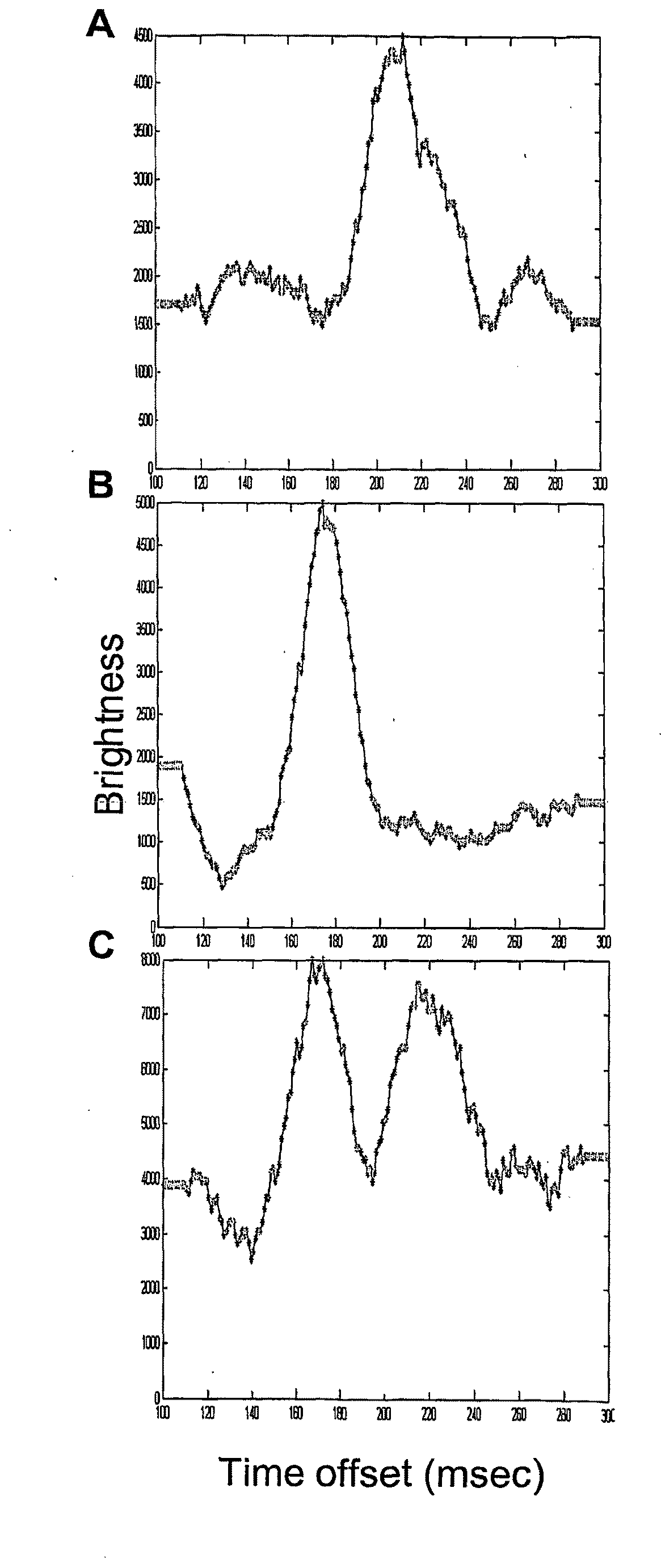 Co-detection of single polypeptide and polynucleotide molecules