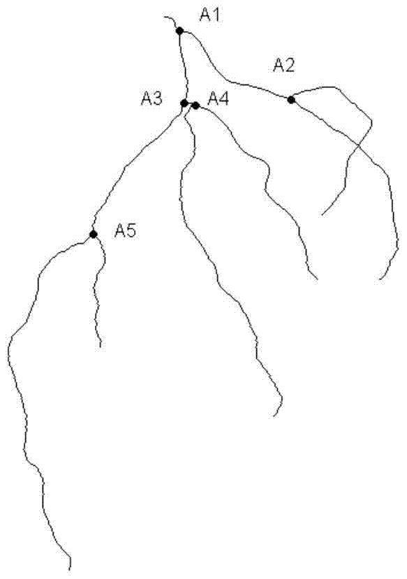 Iterative method for extracting motion parameters of angiography images guided by multi-parameter model