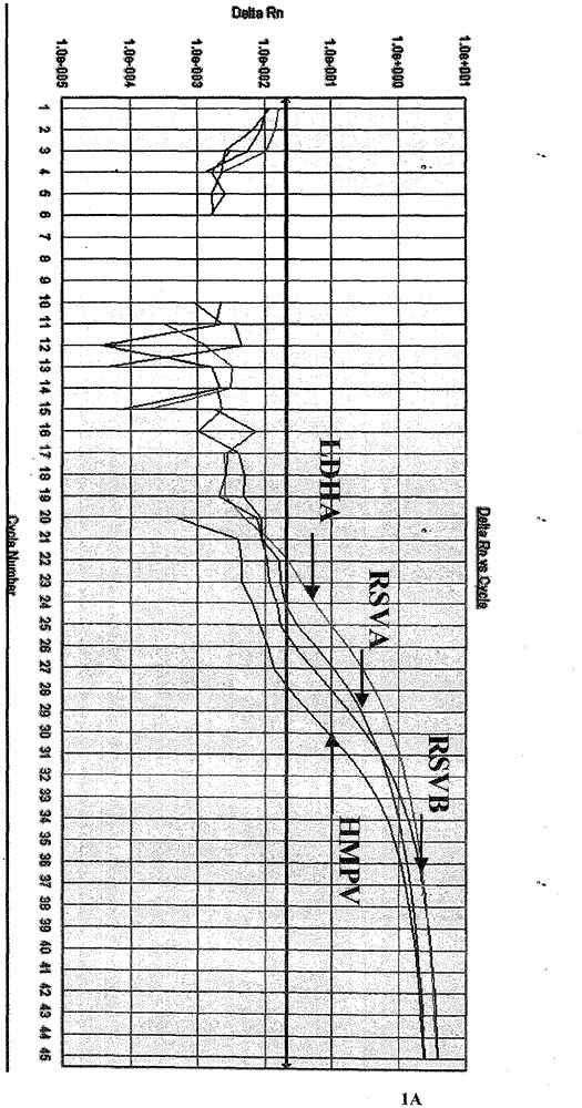 Method and kit for simultaneously detecting human type A and type B respiratory syncytial viruses and human metapneumoviruses