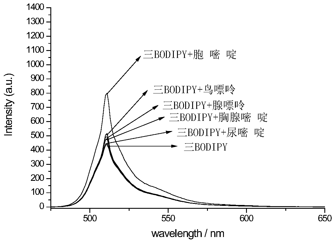 A fluorescent probe for detecting cytosine and its preparation method