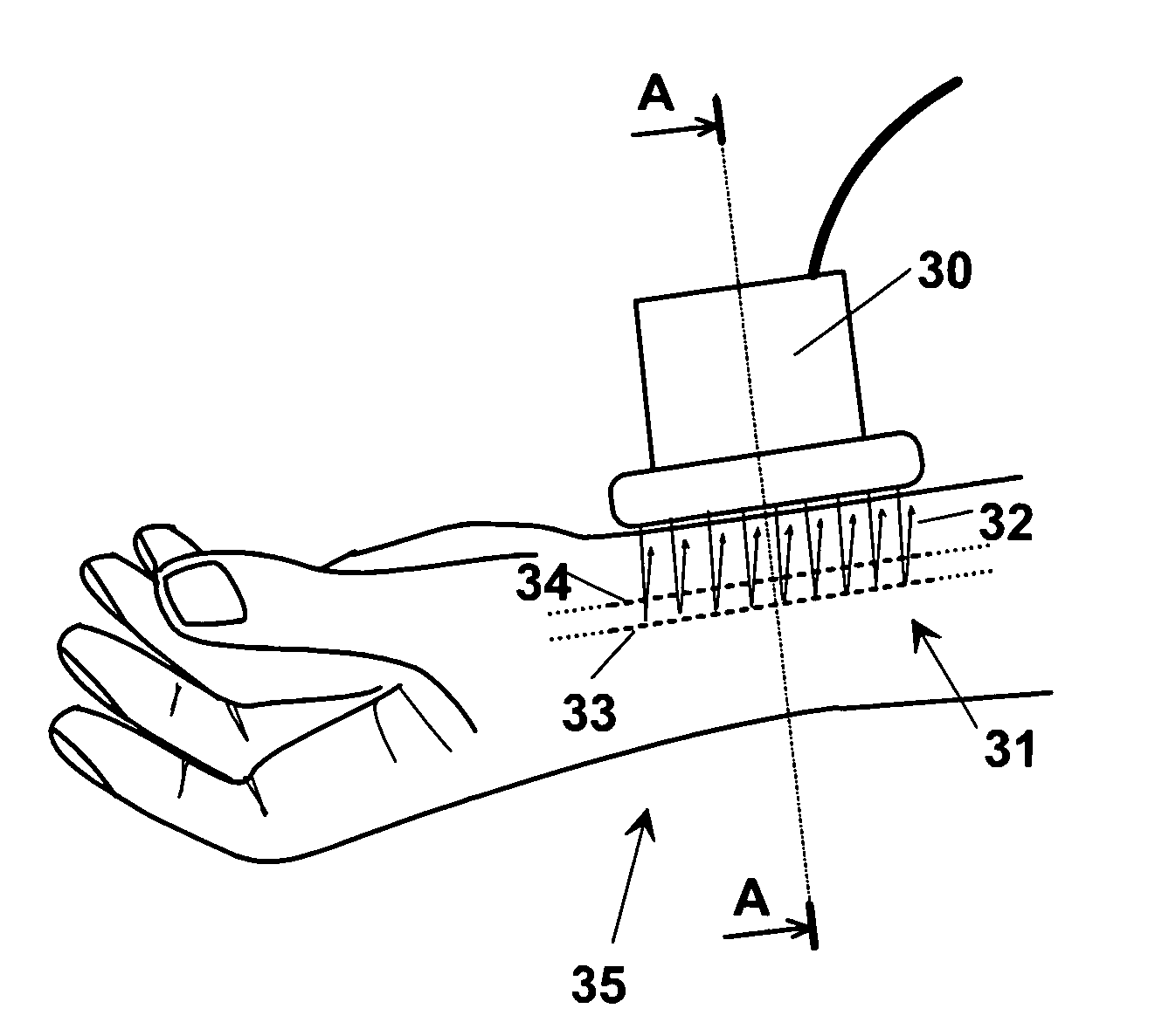 Method and apparatus for automatic examination of cardiovascular functionality indexes by echographic imaging