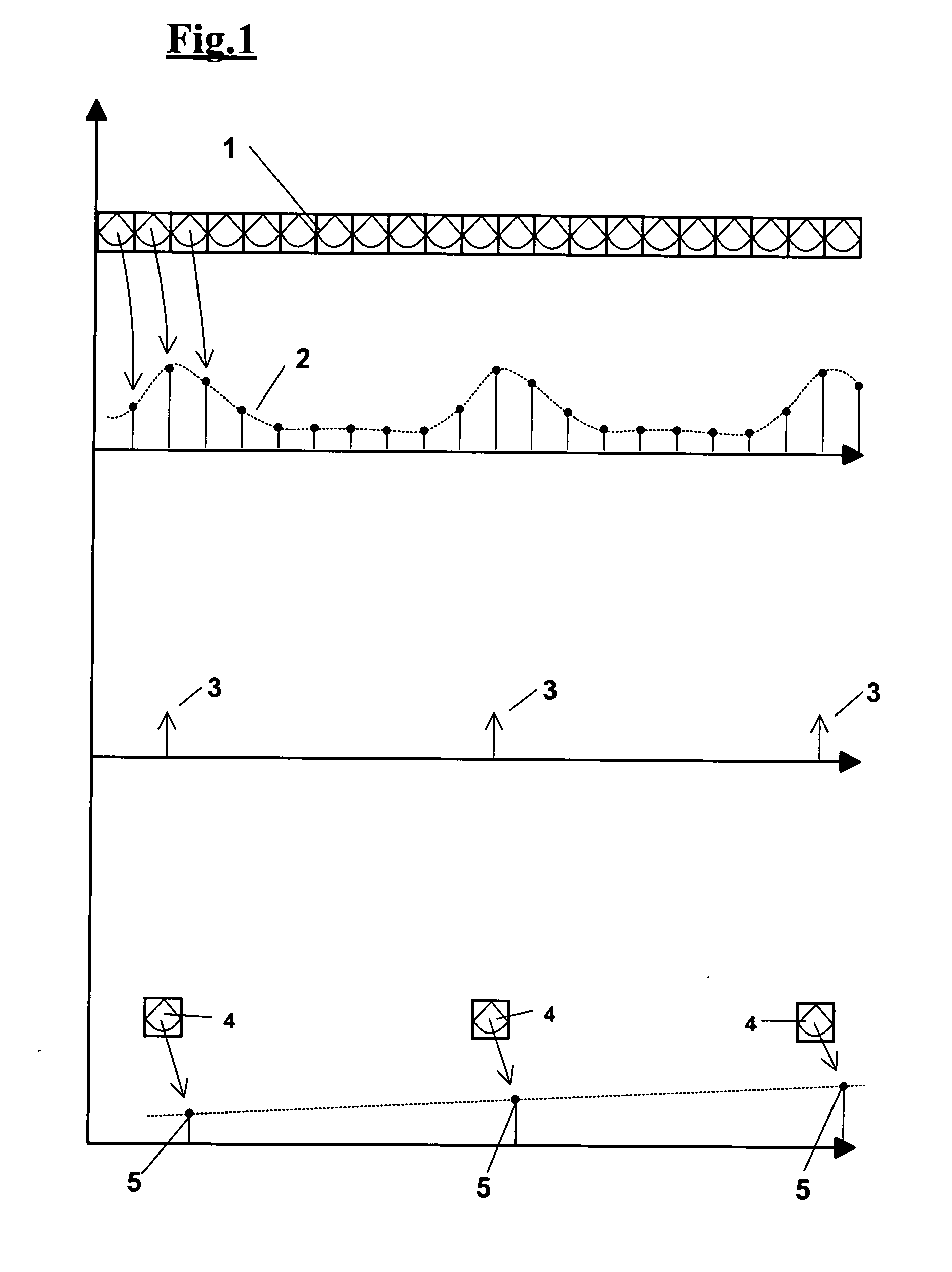 Method and apparatus for automatic examination of cardiovascular functionality indexes by echographic imaging