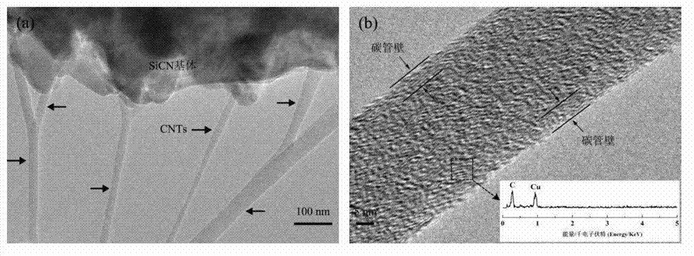 Preparation method of in-situ synthesized carbon nano-tube modified SiCN ceramic matrix composite material