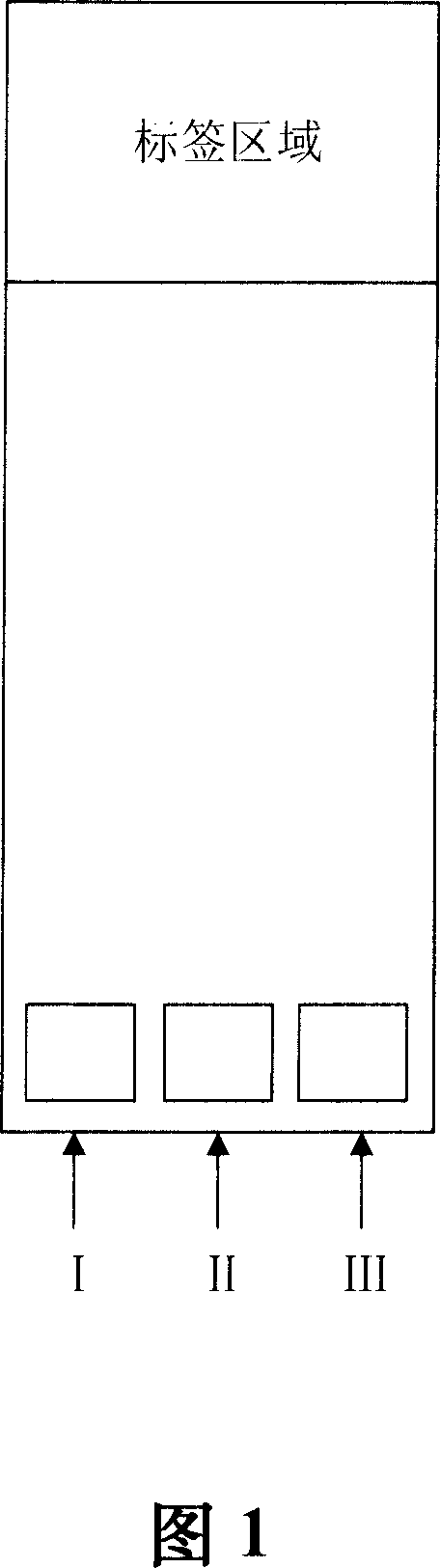 Gene chip for inspecting and grouping SARS coronavirus, its method and reagent kit