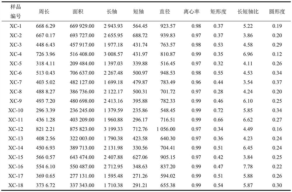 Construction method of radix scrophulariae medicinal material evaluation model and evaluation method of radix scrophulariae medicinal material quality