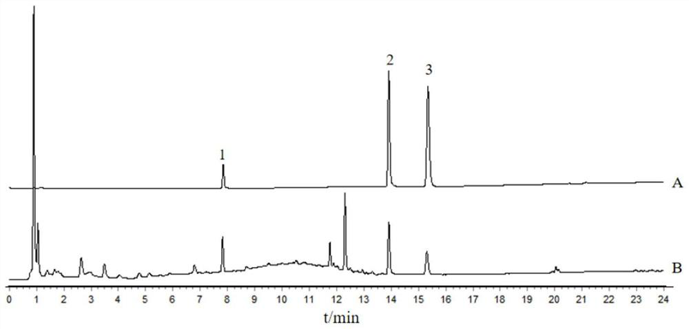 Construction method of radix scrophulariae medicinal material evaluation model and evaluation method of radix scrophulariae medicinal material quality