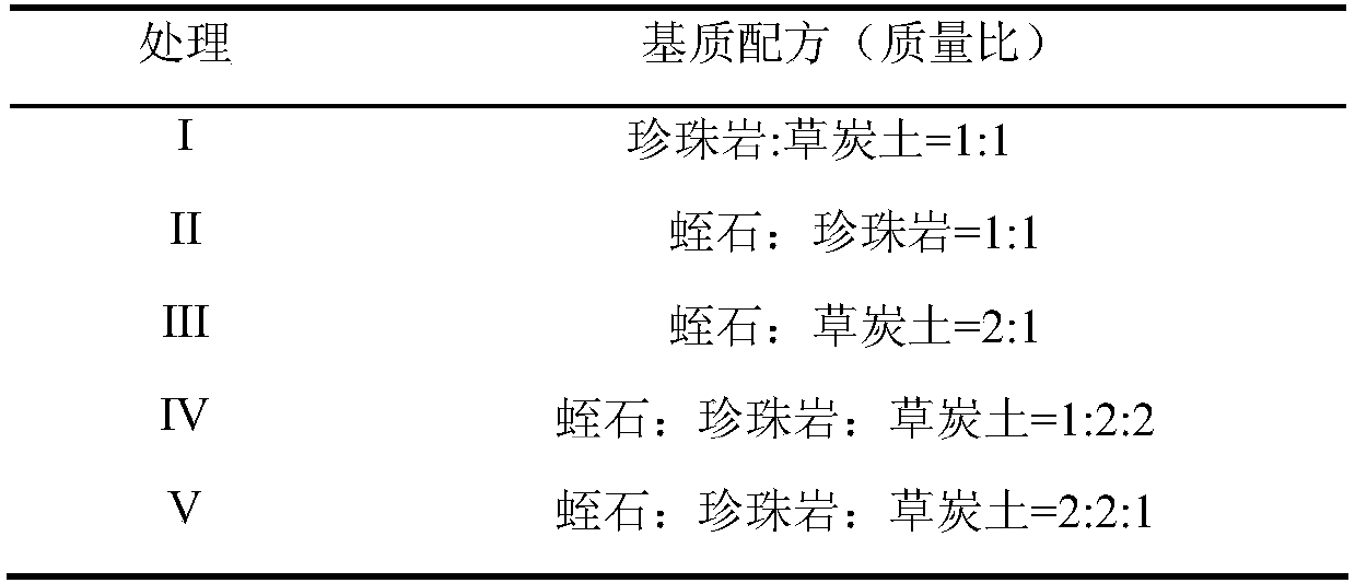 Method for increasing survival rate of chrysanthemum out-of-season cuttage