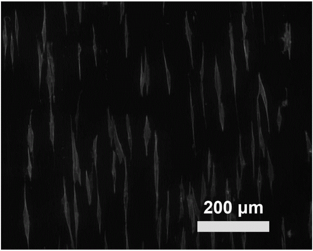 Artificial blood vessel stent with aligned fibers and manufacturing method of artificial blood vessel stent