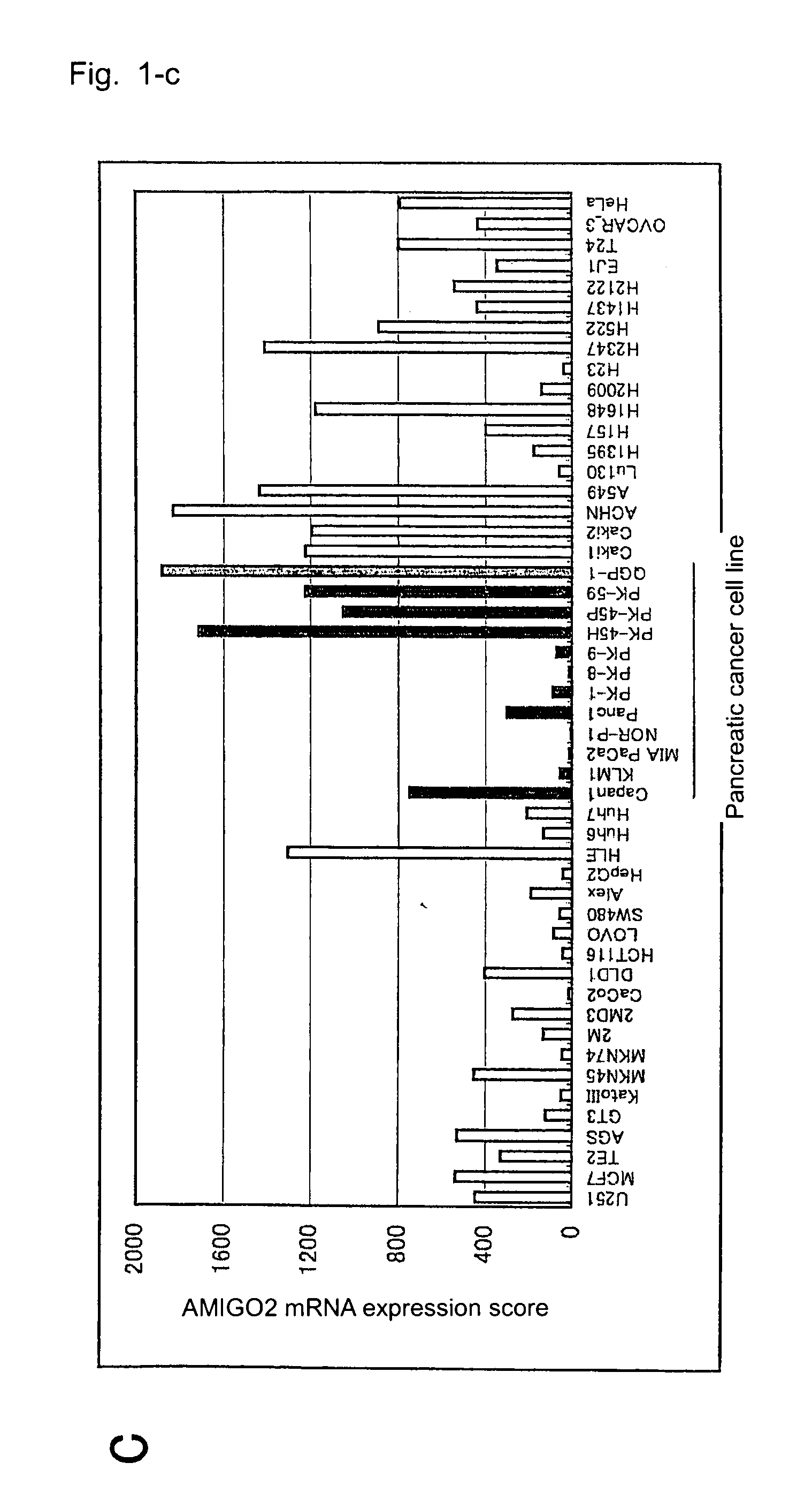 Diagnostic agent and therapeutic agent for pancreatic cancer