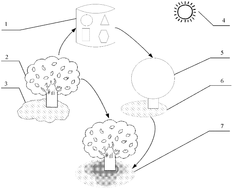 Pixelate virtual tree illumination influenced area obtaining method