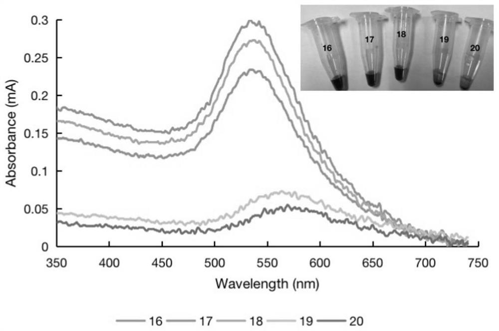 Colorimetric biosensor-based fecal helicobacter pylori rapid detection kit