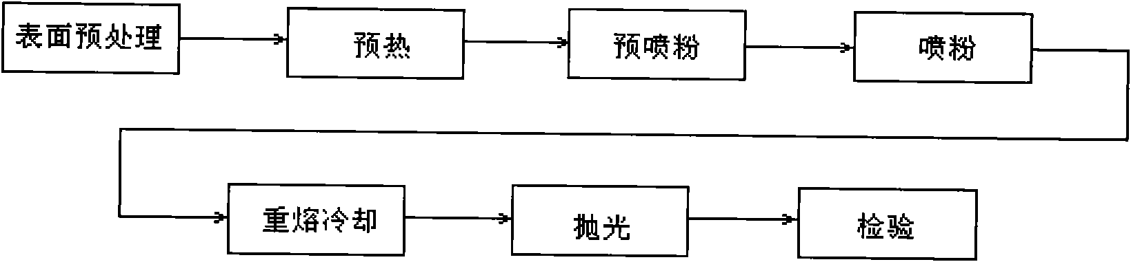 Bidirectional protecting oil pump plunger and hot spray processing technique for surface of same