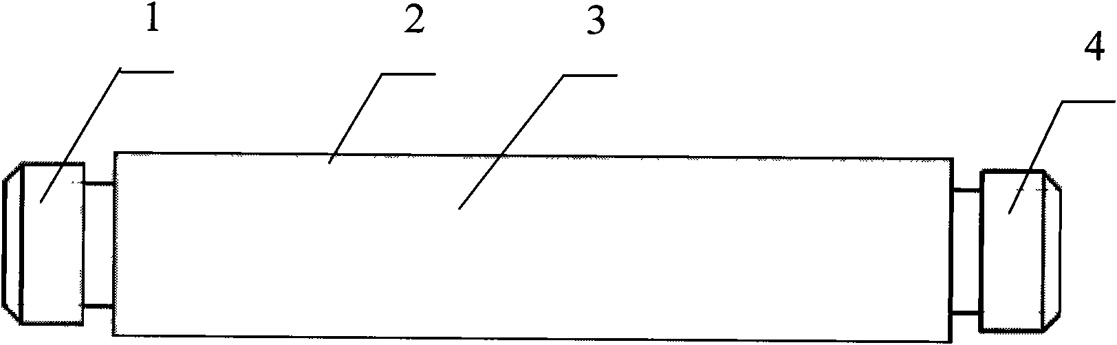 Bidirectional protecting oil pump plunger and hot spray processing technique for surface of same