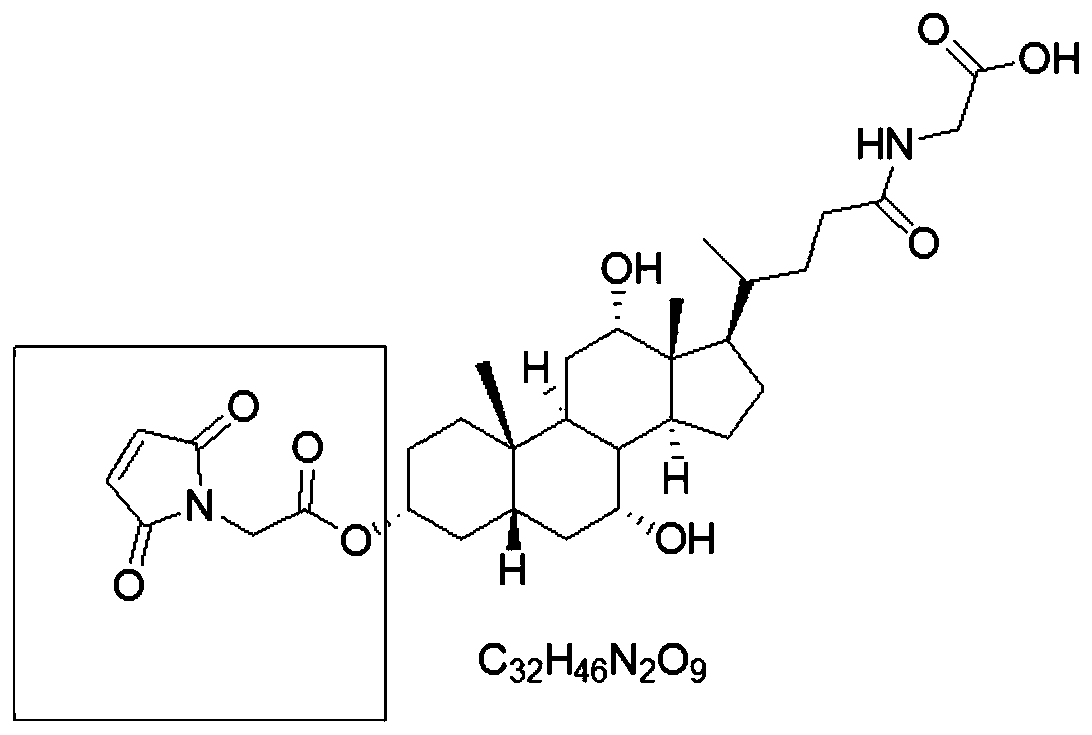 6-glucose-6-phosphate dehydrogenase mutant and application thereof in preparing detection reagent