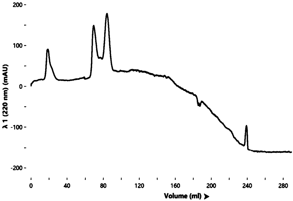 Method for simultaneously extracting two subtypes of metallothionein from Patinopecten yessoensis