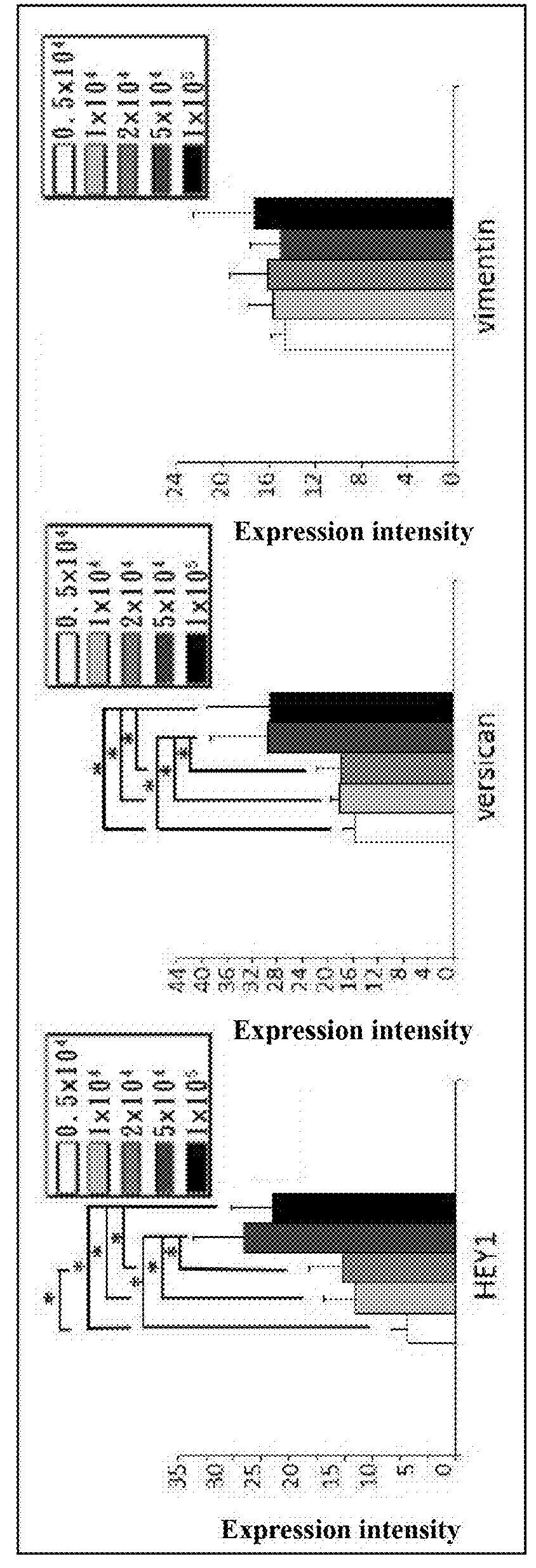 Pharmaceutical compositions for promoting hair follicle regeneration and methods for preparing the same