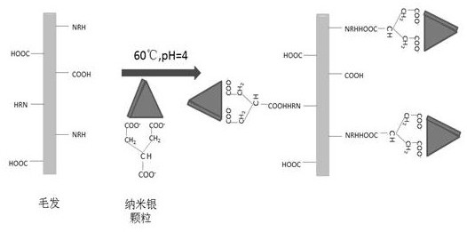 A hair dye using nano silver as a coloring component and its preparation method