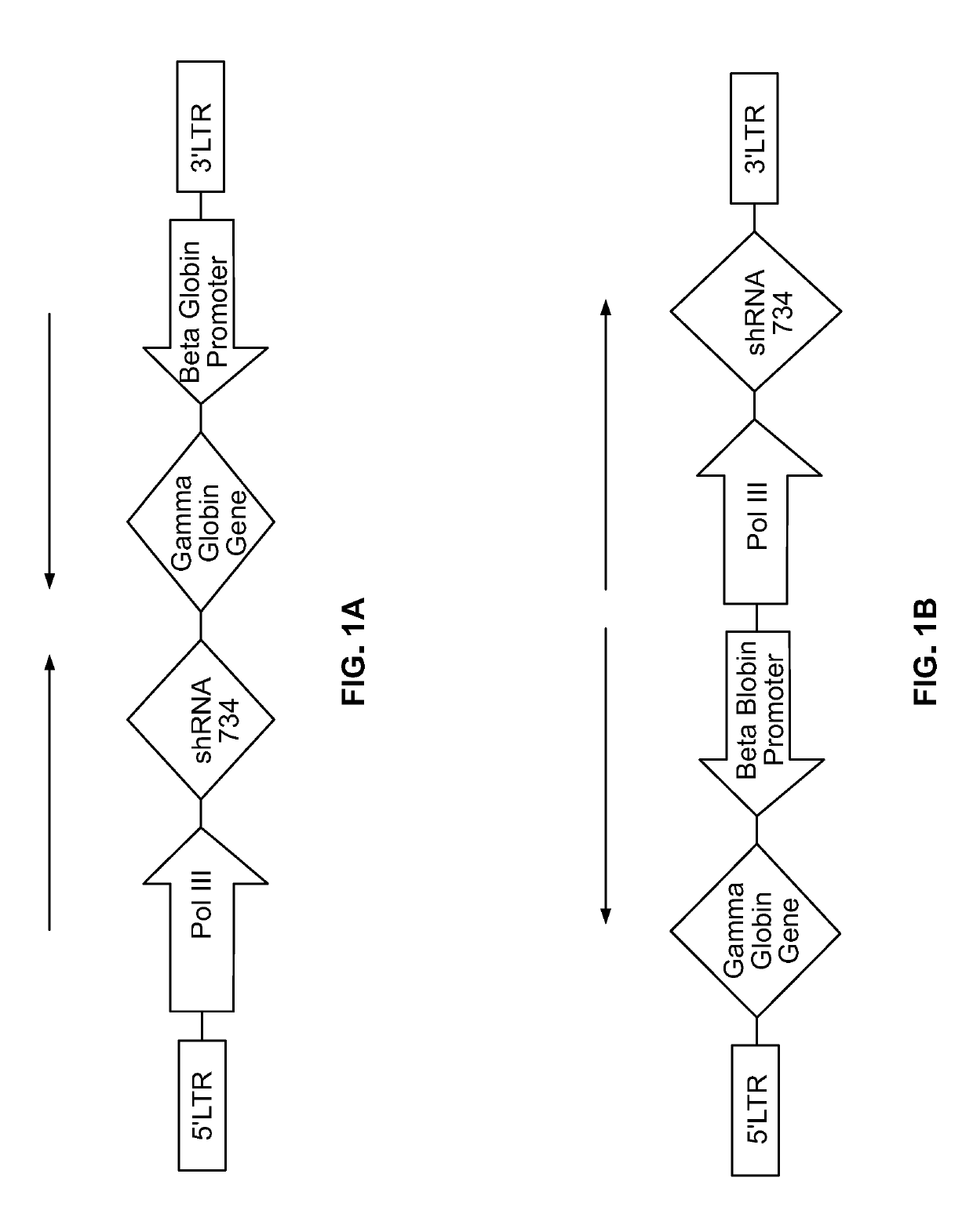 Compositions and methods for treating beta-hemoglobinopathies