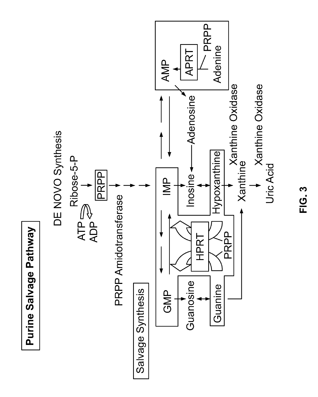 Compositions and methods for treating beta-hemoglobinopathies