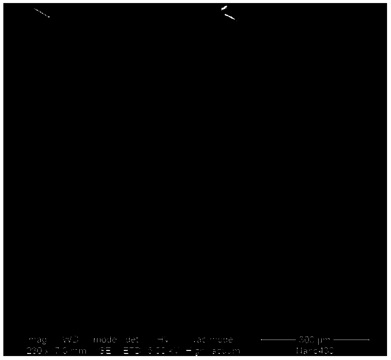 Bacterial cellulose/fabric laminated composite material and preparation method thereof