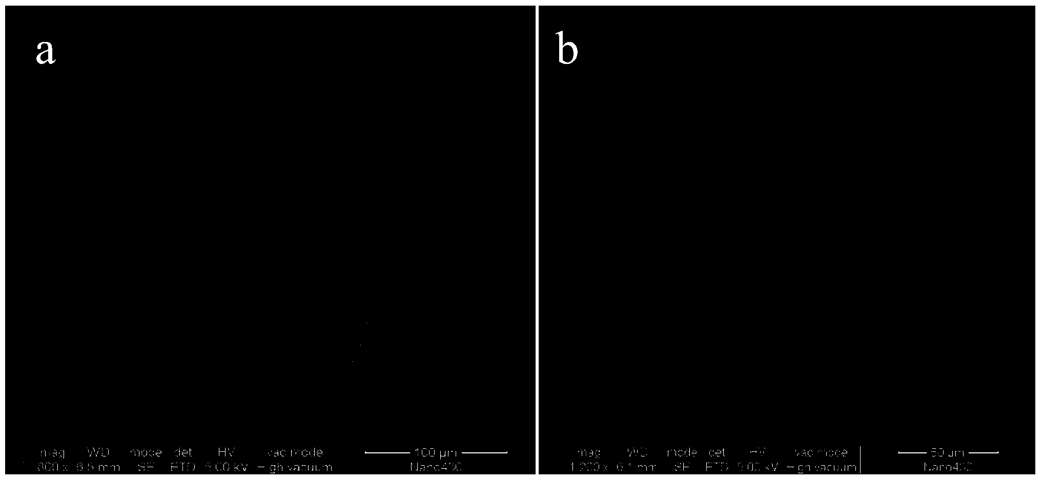 Bacterial cellulose/fabric laminated composite material and preparation method thereof