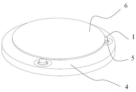 A wafer position detection device