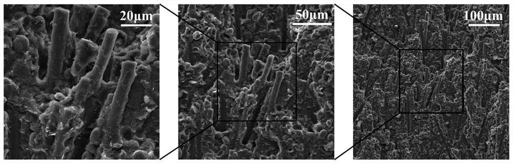 High-strength high-thermal-conductivity electromagnetic shielding nylon composite material and preparation method thereof