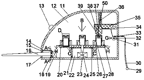 Automatic water sample collecting, storing and water level detecting device