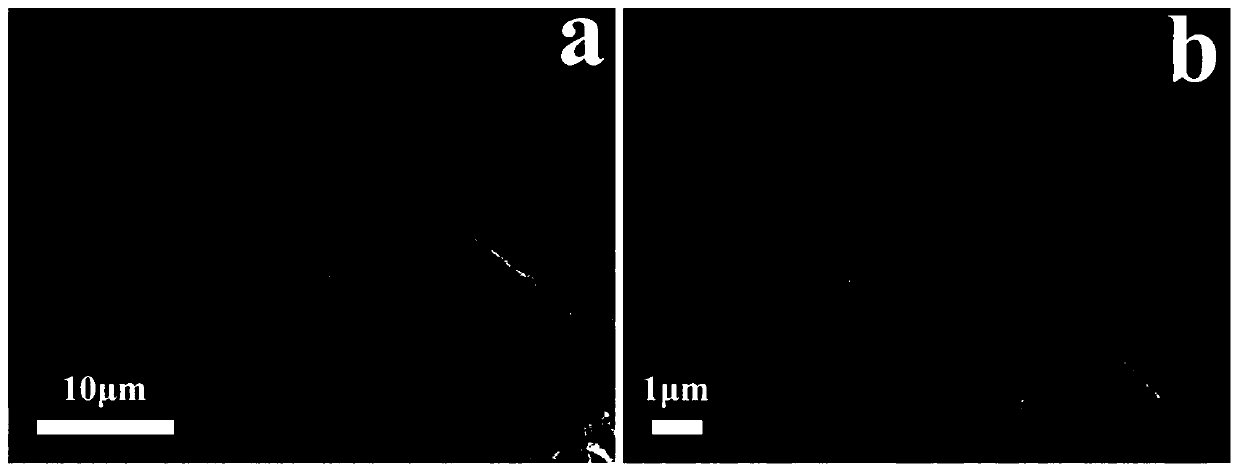 Metal atom-doped porous carbon nano composite material as well as a preparation method and application thereof