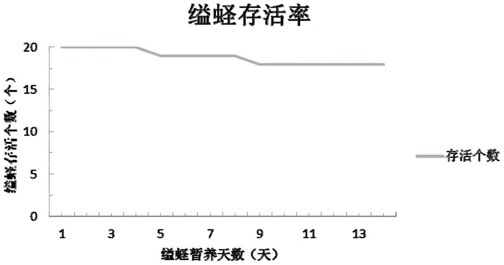 Method for extracting sinonovacula constricta DNA in vivo