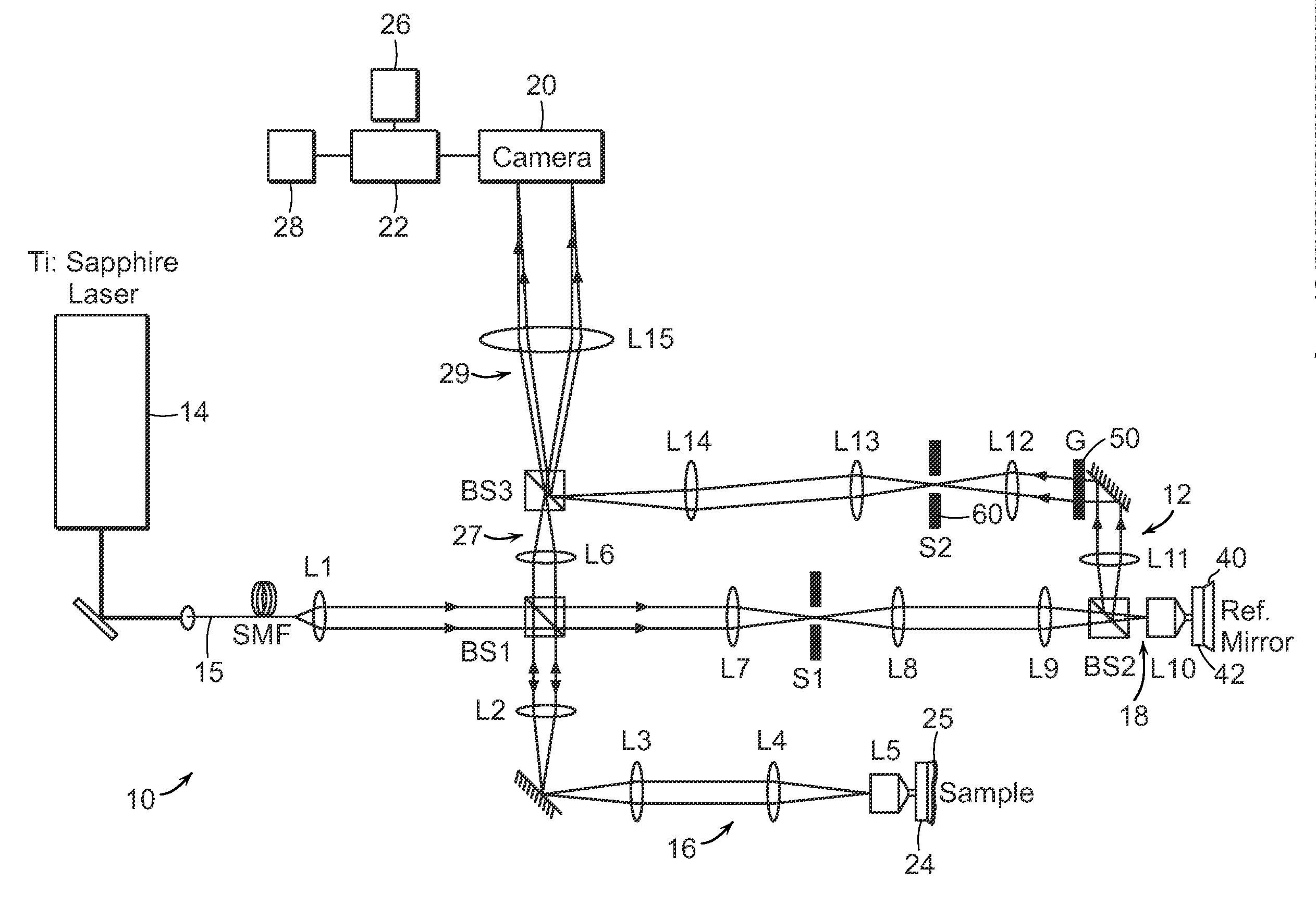 Single-shot full-field reflection phase microscopy