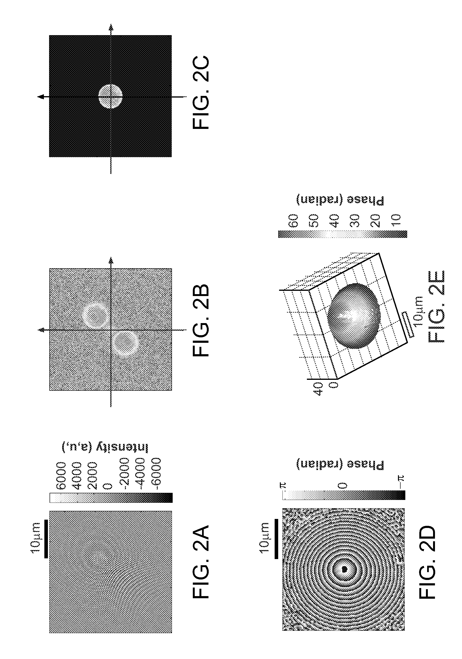 Single-shot full-field reflection phase microscopy