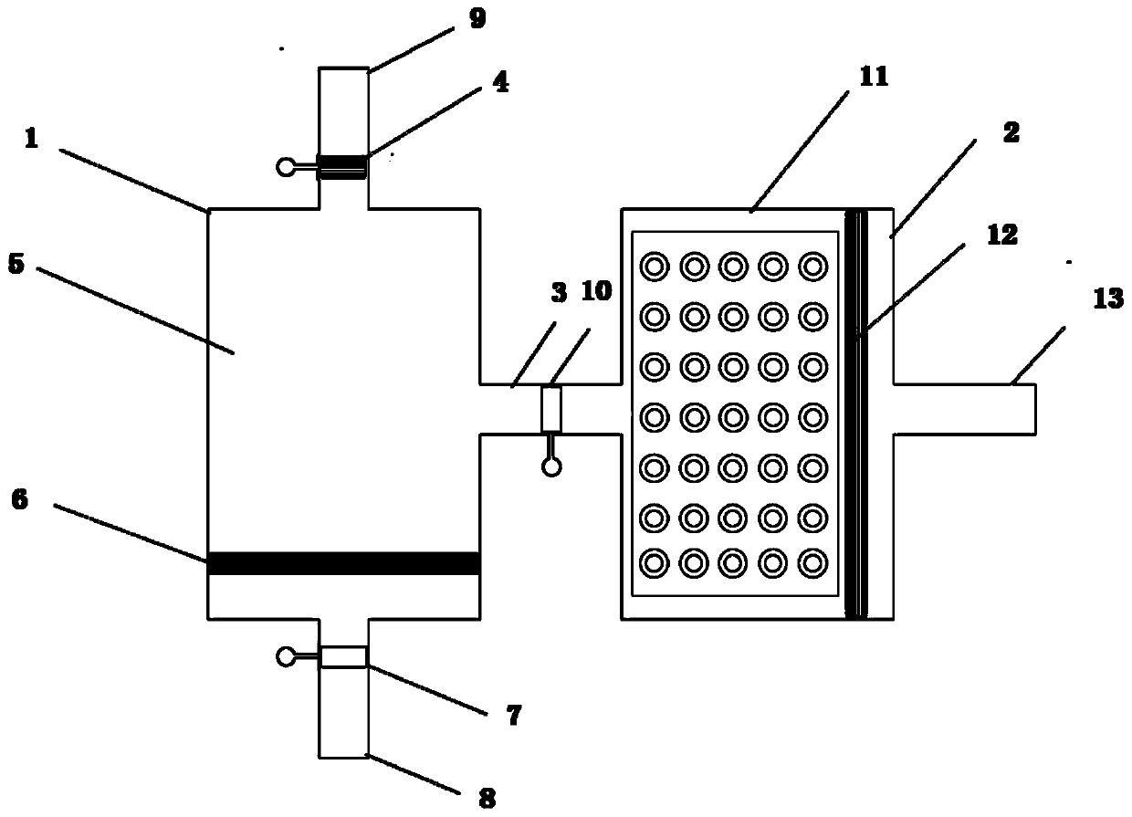 Integrated terahertz superstructure nano-biochip and its application and method