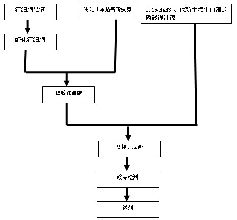 Preparation method and detection method of goat pox positive indirect hemagglutination diagnostic reagent