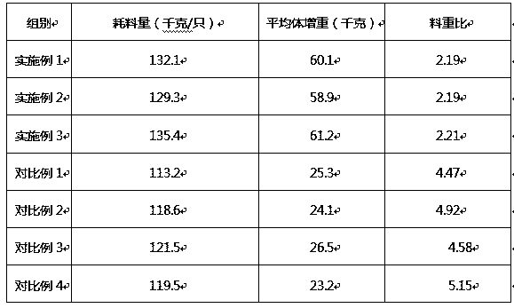 Fermented feed for cattle and sheep and preparation method of fermented feed