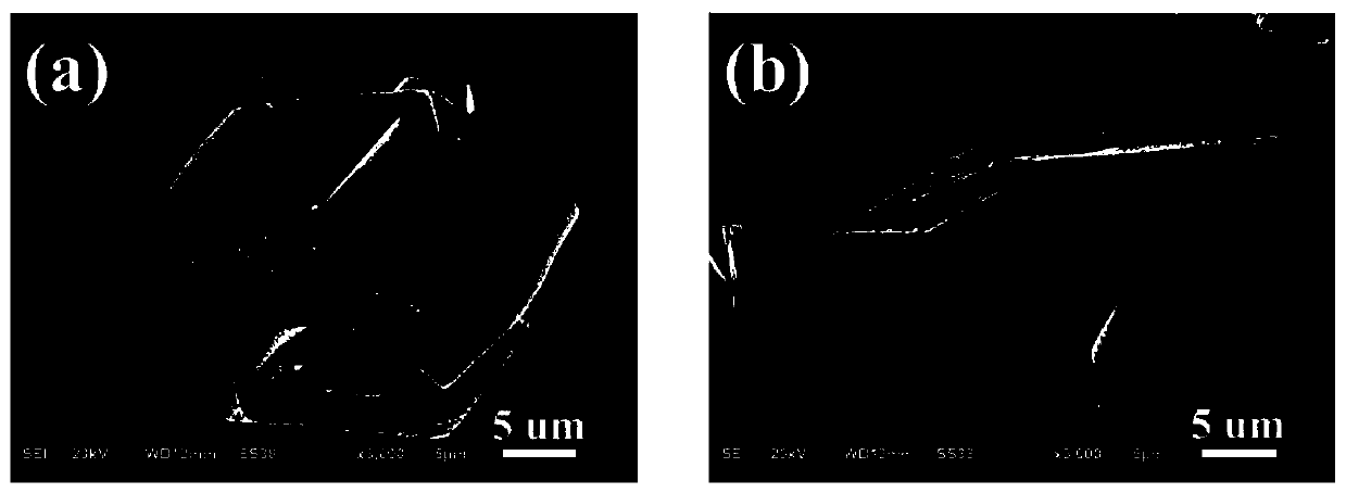 Lead-free BaTiO3-PVDF (polyvinylidene fluoride) composite membrane and preparation method thereof